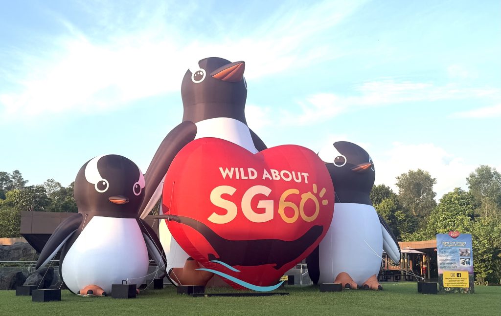 Customised large inflatable display for sale in singapore