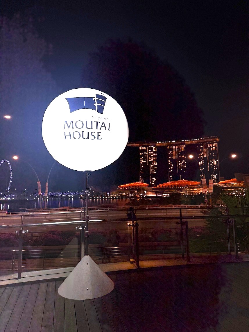 Custom colour Lighted Balloon Stand Singapore for corporate anniversary