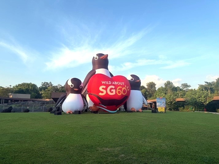 Giant inflatable penguin SG60 Advertising Balloon Singapore outdoor event